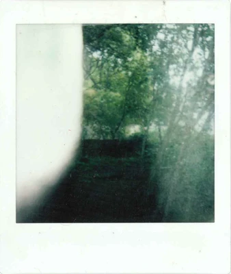 Haunted Forest